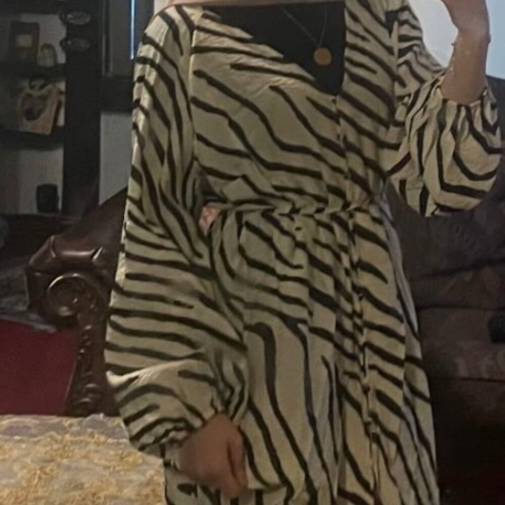 H&M Tie-belt, Zebra Print Dress with Buttons